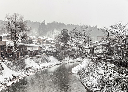 高山冬植物群房子街道降雪植物天空花盆杂志海报店铺图片