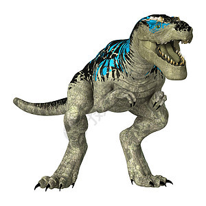 恐龙暴龙动物捕食者古生物学侏罗纪怪物食肉攻击白色图片