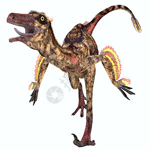 Troodon 爬虫剂图片