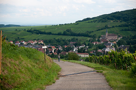 Alsace 风景和震动场旅游远足葡萄园旅行假期酒路图片