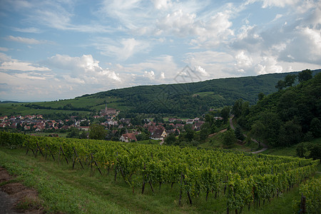 Alsace 风景和震动场远足葡萄园酒路旅游假期旅行图片