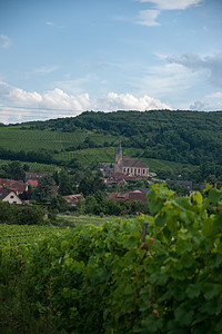 Alsace 风景和震动场旅游葡萄园远足酒路假期旅行图片