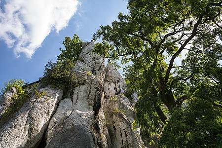 波兰泰涅茨的利姆岩石岩石植物水平天空树木地质学图片