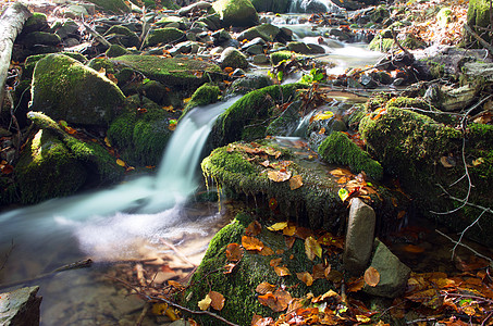 美丽的瀑布场景 乌克赖恩喀尔巴阡山轮船荒野苔藓清凉流动植物绿色植物运动岩石风景环境图片