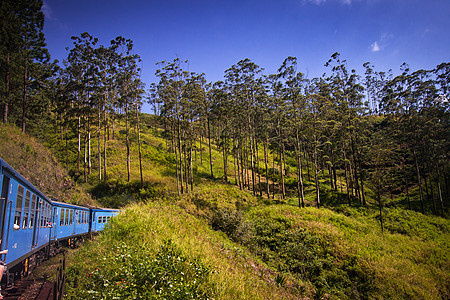 从到Kandy的火车热带旅行风景爬坡国家高地绿色地平线天空种植园图片