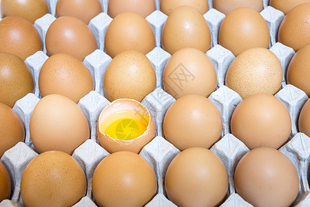 包件 黄蛋 相粉 蛋组的壳壳蛋生活饮食早餐动物烹饪团体家禽农场食品蛋壳图片