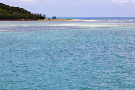 绿色环礁湖和绿树南面的沿海地带图片