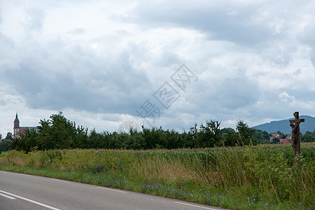 Alsace 风景和震动场旅游葡萄园远足酒路旅行假期图片