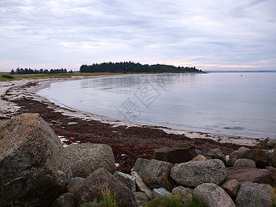 丹麦美丽海岸线海滩 丹麦乡村海岸绿色天空支撑季节海洋风景爬坡沙丘图片
