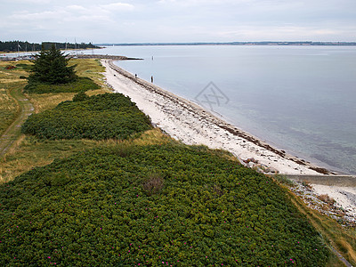 丹麦美丽海岸线海滩 丹麦季节沙丘爬坡乡村风景绿色海岸农村蓝色天空图片