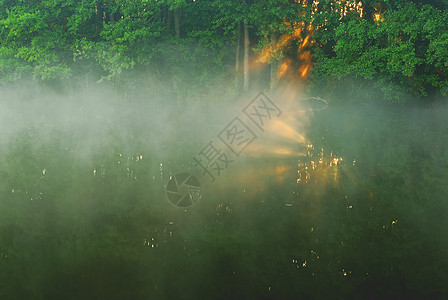 河边的夏日晨雾 风景图片