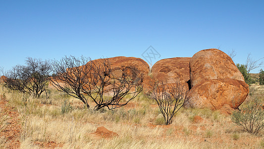 澳大利亚风景澳大利亚北部地区旅游全景景点岩石风景旅行领土背景