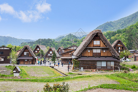 历史悠久的日本村春天的白川乡 日本的旅游地标花园建筑学历史性建筑稻田住宅全景房子森林村庄图片