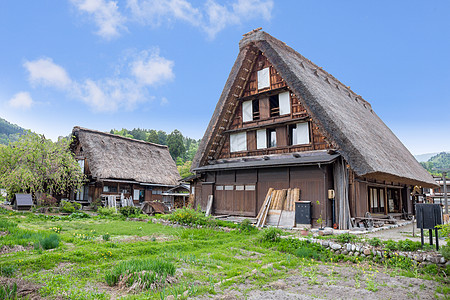 历史悠久的日本村春天的白川乡 日本的旅游地标历史性森林住宅村庄建筑学橙子花园稻田建筑房子图片