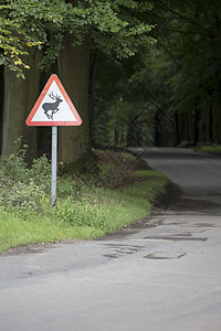 路边的鹿警示标志图片