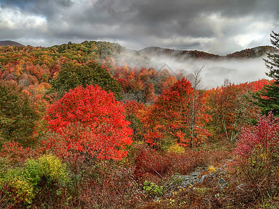 秋天在蓝脊公园道上驾车系统康复山脉旅行丘陵访问季节通信天气蒸汽图片