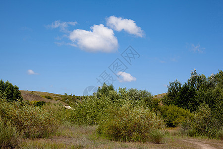 夏季风景爬坡衬套绿色蓝色水平天空灰色白色图片