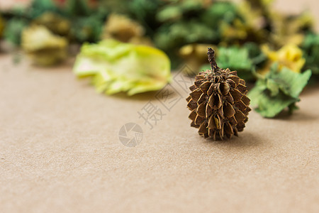 干芳香花朵矿物香料锥体乳香魔术师檀香仪式草本植物竹子花香图片