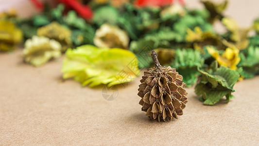 干芳香花朵草本植物木头仪式疗法玫瑰魔术师香水乳香普里香料图片