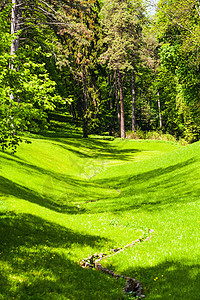 绿草和树木天空旅行阳光乡村公园环境季节森林蓝色绿色图片