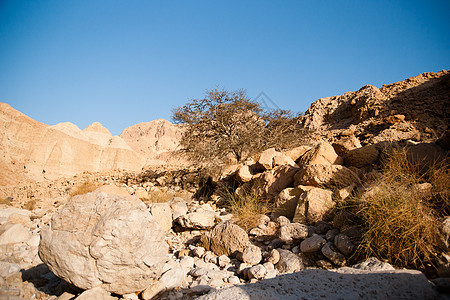 死海中岩石沙漠中的山丘假期旅游沙漠石头死海旅行远足游客图片