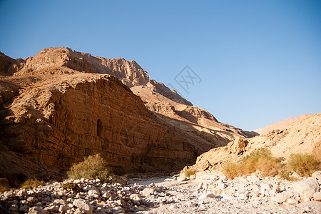 死海中岩石沙漠中的山丘石头沙漠游客旅行假期远足旅游死海图片