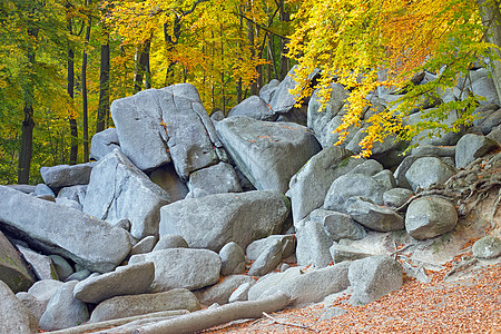 费尔森米尔景观闲暇岩石吸引力悬崖休闲树木石头纪念物天空图片