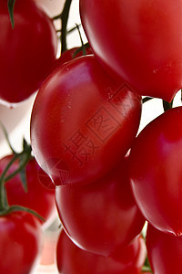 红番茄蔬菜食物饮食营养红色图片