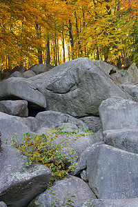 费尔森米尔巨石石头景观悬崖休闲岩石吸引力闲暇树叶树木图片