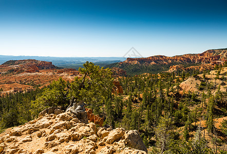 国家公园旅行锤子高原巨石砂岩沙漠地质学观光编队荒野图片