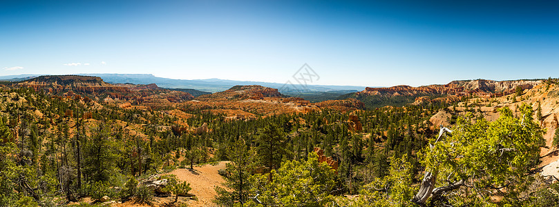 国家公园极端全景高原风化尖塔雷神之锤岩石橙子巨石编队山脉旅行图片