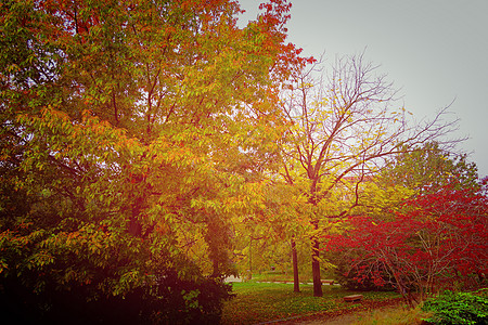 秋天公园 有效果图片