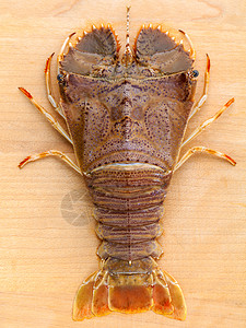 Raw 白头龙虾 龙虾莫雷顿湾虫 东方扁头烹饪奢华食物动物橙子海洋餐厅美食尾巴漏洞图片