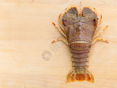Raw 白头龙虾 龙虾莫雷顿湾虫 东方扁头动物小吃餐厅调味品香料海洋烹饪漏洞尾巴烧烤图片