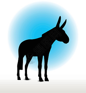驴环形图哺乳动物姿势冒充骡子小马驴骡白色阴影草图插图图片