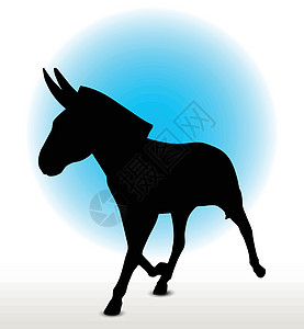 驴环形图阴影慢跑天窗哺乳动物插图白色小马小跑跑步驴骡图片