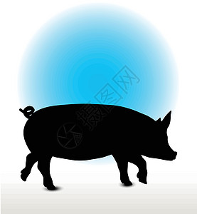 猪轮光影姿势野猪步行草图插图尖叫者猪肉白色小跑阴影图片