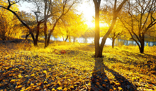 河边的秋季美容图片