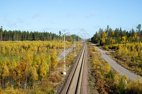 铁路铁路轨道晴天农村旅行曲目运输黄色蓝天树叶土地风景图片