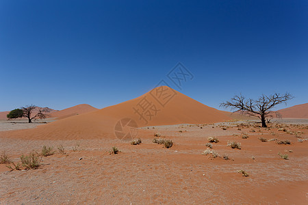 纳米比亚索苏苏夫莱省 Dune 45 Dune 45荒野公园干旱沙丘纳米布天空孤独风景环境旅行图片