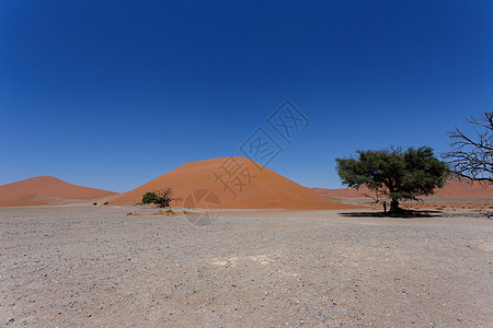 纳米比亚索苏苏夫莱省 Dune 45 Dune 45旅游天空荒野国家纳米布冒险航向干旱孤独沙漠图片