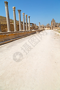 火鸡和罗马寺庙的柱石图片