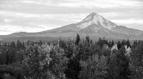 Mt Hood 火山山岩层 俄勒冈州图片