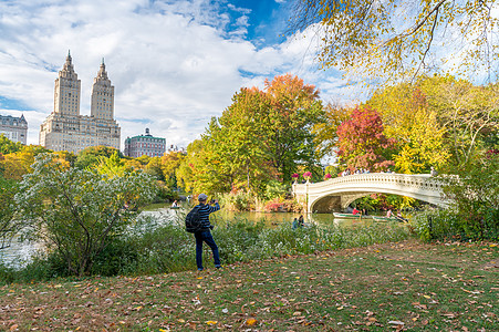 中央公园放轻松 耕种季节树叶旅行花园黄色绿色叶子场景建筑城市图片