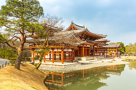 京都天知寺宗教叶子佛教徒建筑学大厅游客场景地标寺庙旅行图片