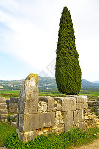 纪念碑和工地中的 volubilis城市石头植物文化历史大理石考古学帝国化石旅行图片