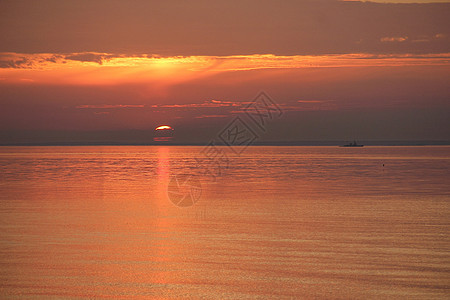 在芬兰湾的日出家禽航班天空运动太阳日落飞溅地区反射海鸥图片