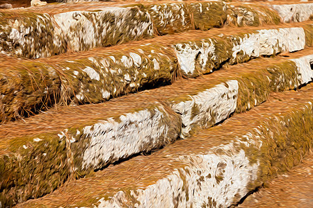 松针摧毁了安塔利亚阿里坎达的石头和剧院岩石松树建筑学遗迹历史性废墟花岗岩遗产卵石墙纸图片