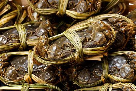 上海螃蟹美食动物居住餐厅食物淡水季节性环境保护海鲜烹饪图片