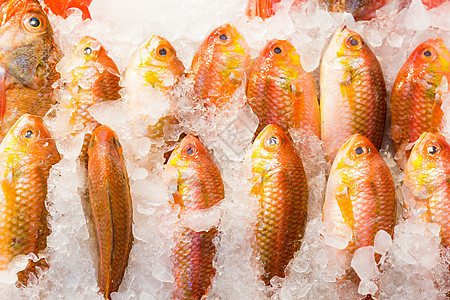 市场上销售的新鲜红鹿角鱼图片